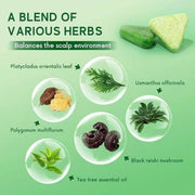 Nature Seven Green Shampoo Bar herbal ingredients tea tree oil reishi mushroom plant extracts